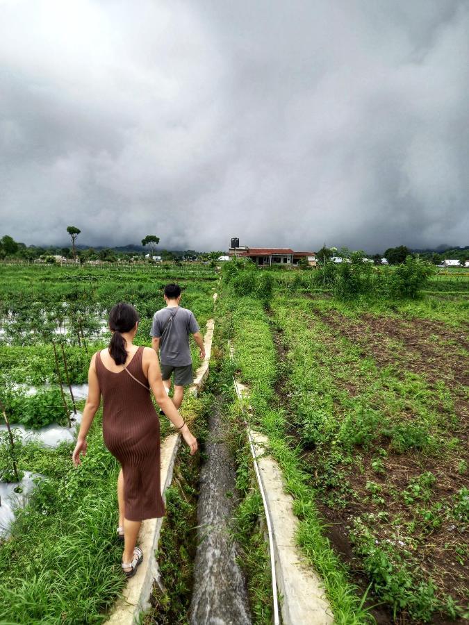 Family Rinjani Bungalow Sajang Экстерьер фото
