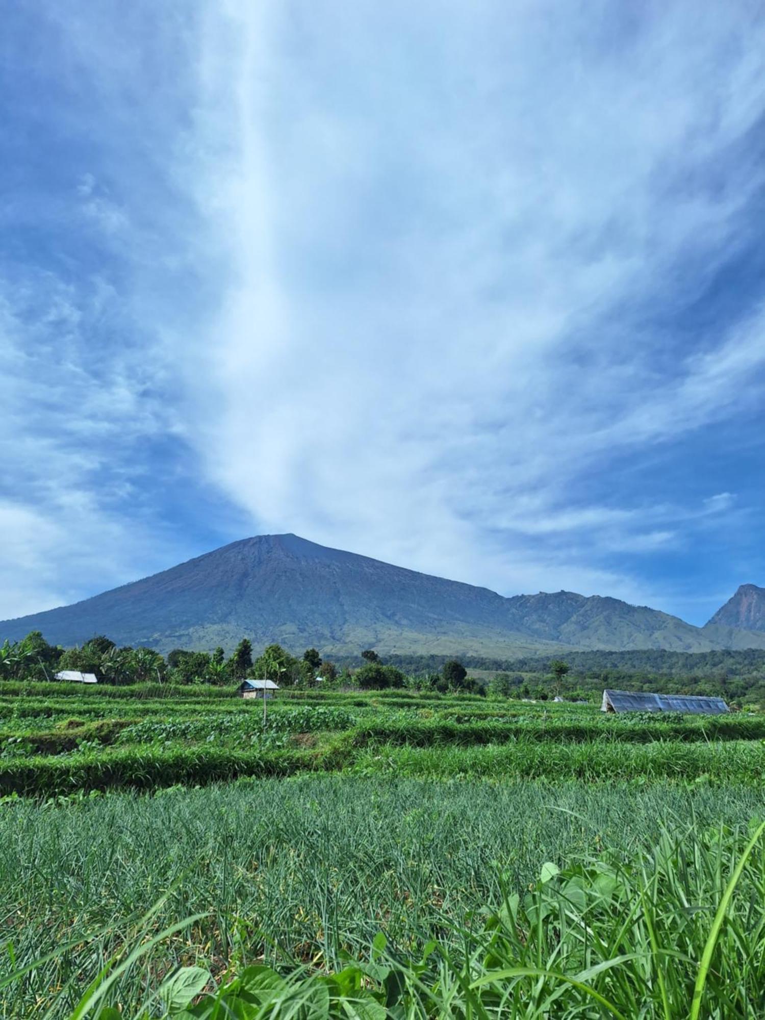 Family Rinjani Bungalow Sajang Экстерьер фото