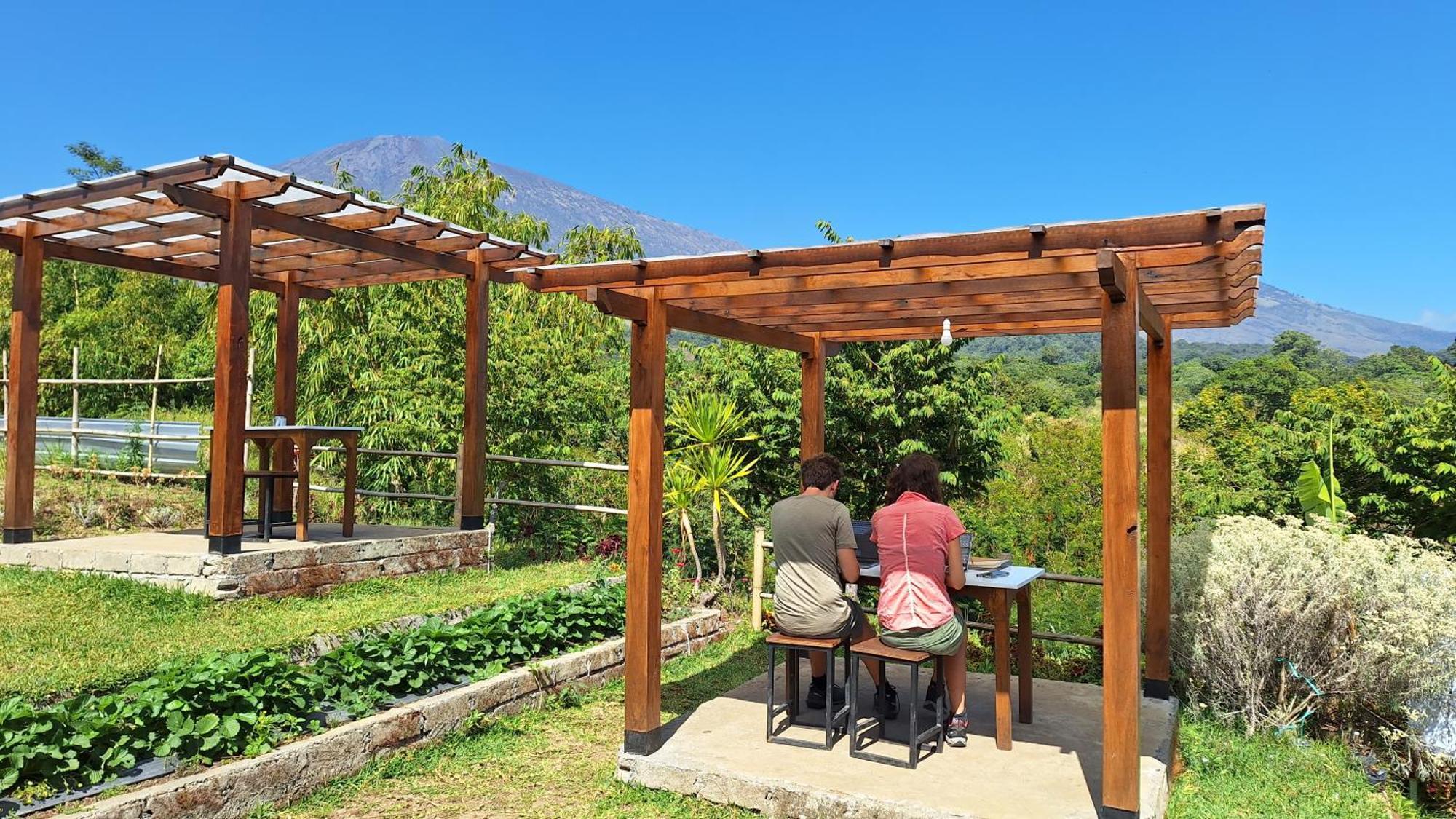 Family Rinjani Bungalow Sajang Экстерьер фото